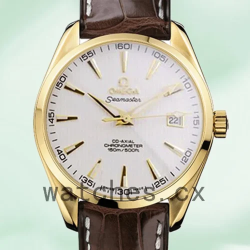 O-J-SeamasterWSL-004-1.webp Omega Seamaster 41mm SeamasterWSL-004 Men Leather Strap